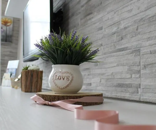 Camarda 贝尔纳尔达