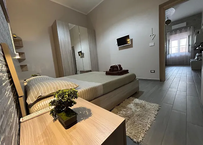 Camarda 贝尔纳尔达