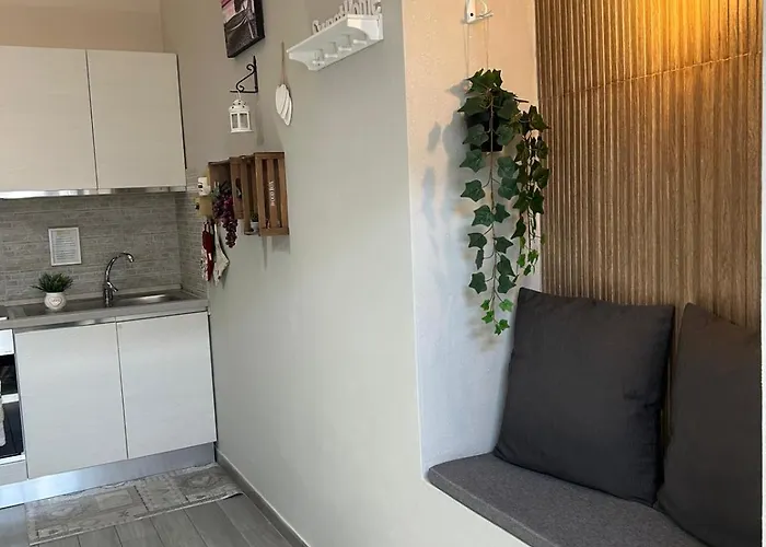 Camarda * 贝尔纳尔达